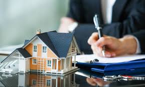 Real Estate & Property